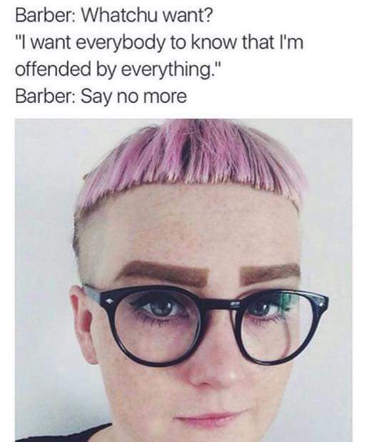 portland is full of snowflakes