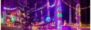 silverton christmas market garden of lights display