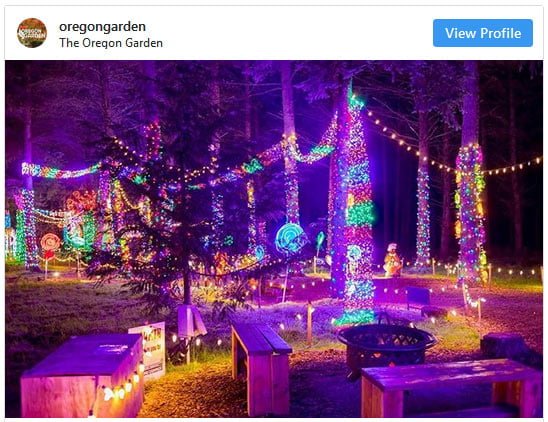 silverton christmas market garden of lights display
